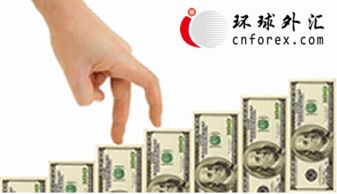 美元走強凸顯風險厭惡 BK資產管理視角下的資產配置策略